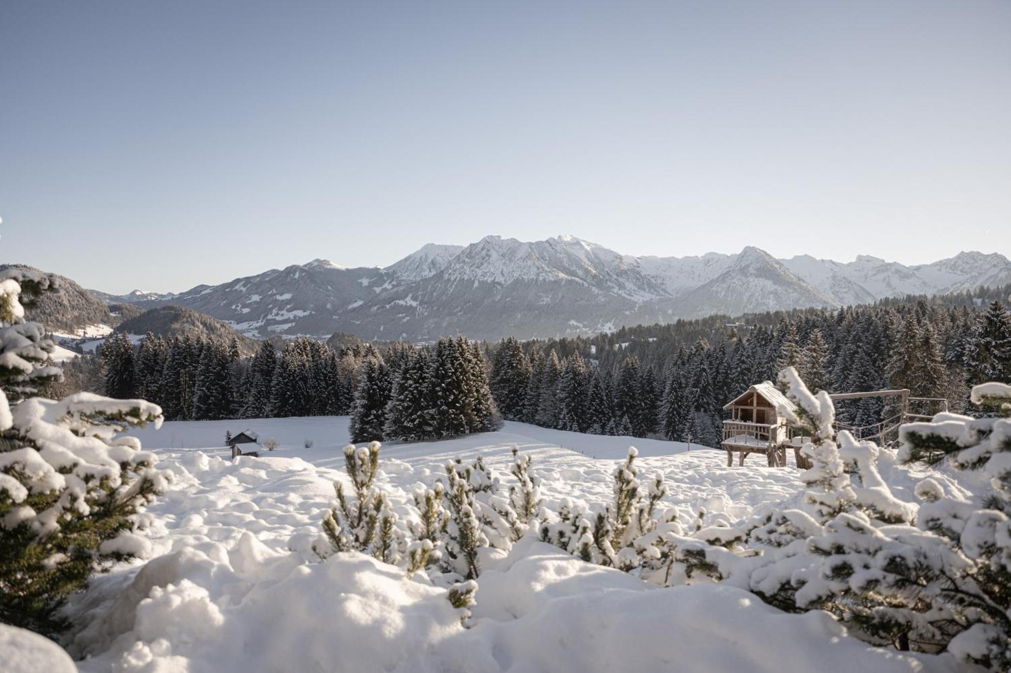 Hotel Alpe Dornach 4*