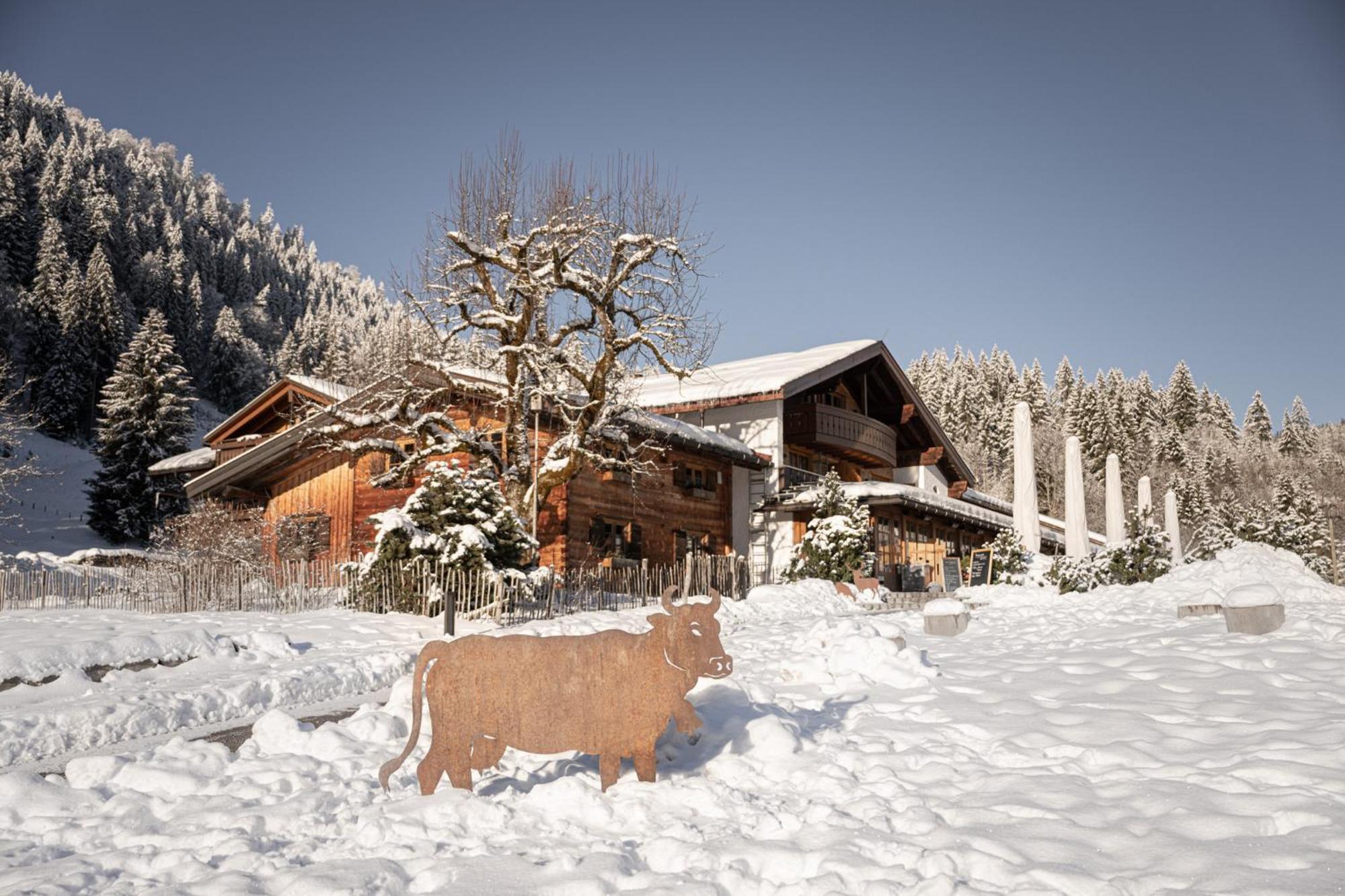 Alpe Dornach Hotel